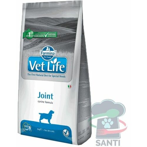 Farmina Vet Life veterinarska dijeta za odrasle pse JOINT 12kg Cene
