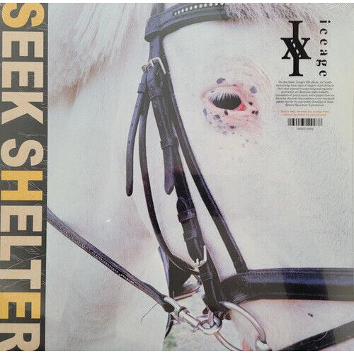  Iceage - Seek Shelter Cene