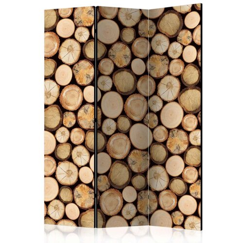  Paravan u 3 dijela - In sawmill [Room Dividers] 135x172 Slike