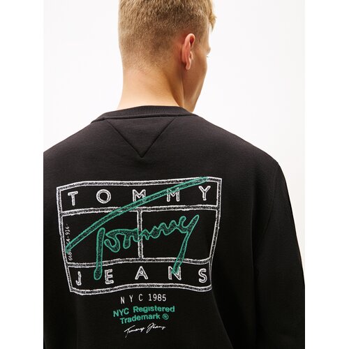 Tommy Jeans Sweater majica kraljevski zelena / crna / srebro Slike