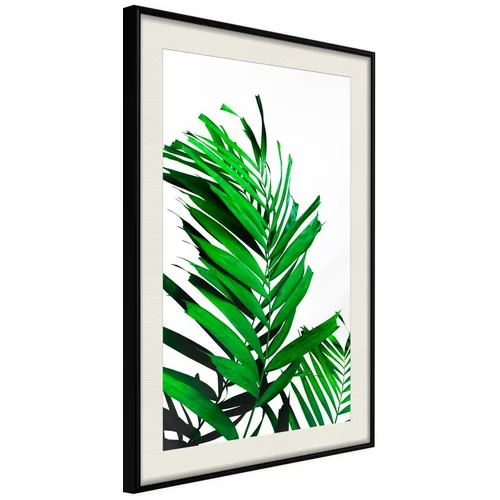  Poster - Emerald Palm 30x45
