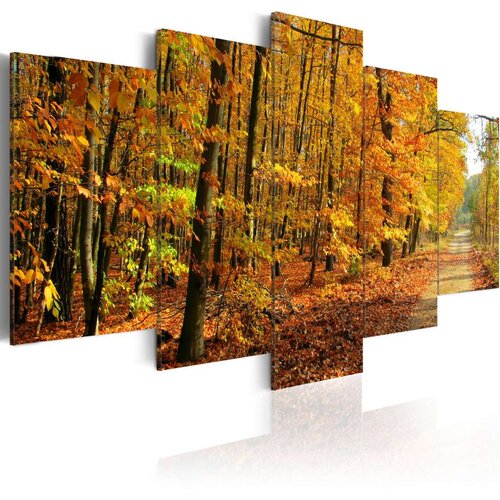 Slika - An alley among colorful leaves 200x100 Cijene