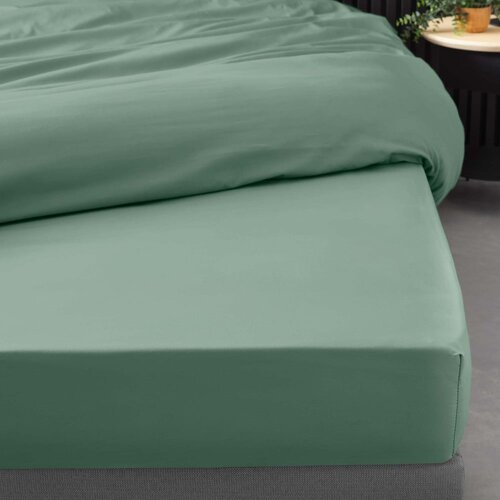 Douceur d int&amp;eacute;rieur Zelena napenjalna rjuha iz bombažnega perkala 160x200 cm Percaline &amp;ndash; Slike