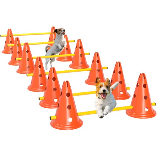 PawHut Komplet za agility za pse, 6-delna oprema za agility trening psov, komplet za preskakovanje ovir, (5000240032) Slike