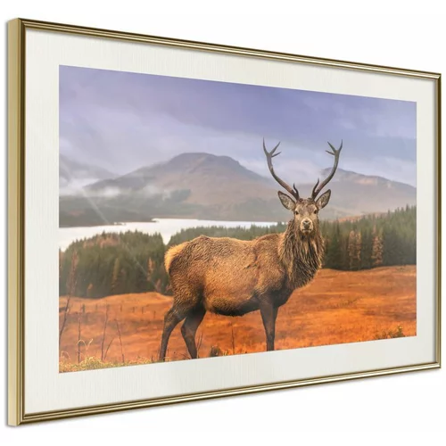  Poster - Majestic Deer 60x40