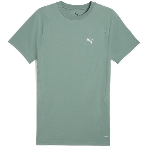Puma Tehnička sportska majica 'EVOSTRIPE' pastelno zelena Cijene
