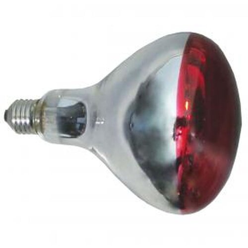 Elit R125 250W E27 Infracrvena industrijska sijalica Cene
