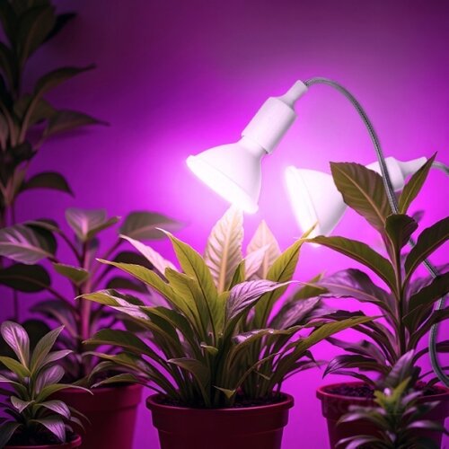 Fleksibilna stona lampa sa stezaljkom za gajenje biljaka PLANTY 2xE27/30W/230V bela Slike