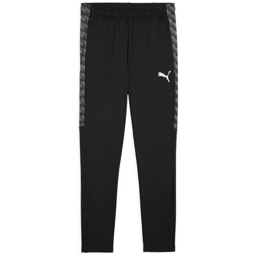 Puma Spodnji deli trenirke TeamLIGA26 Siva Cene