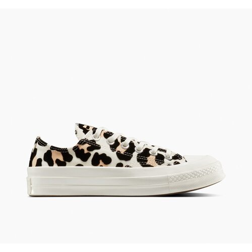 Converse Ženske patike chuck 70 leopard Cene