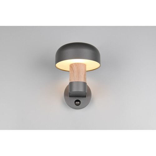  Stenska zunanja svetilka (vi&amp;scaron;ina 24,5 cm) Fraser &amp;ndash; Slike