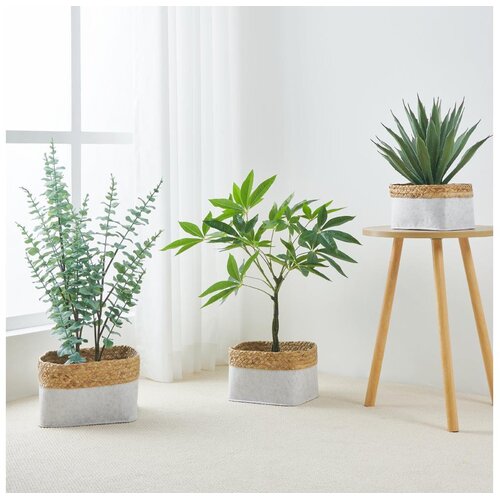 Eglo 426585 - SET od 3 dekorativnih korpi NANAE 16x27 cm bela/bež Cene