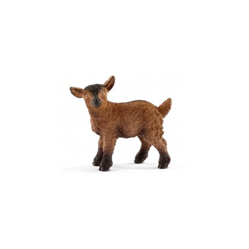 Schleich 13829 - Farm World - kozliček Cene