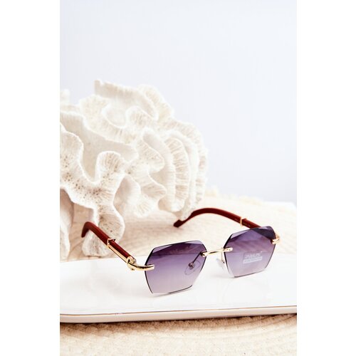 PRIUS Women's UV400 Brown Sunglasses Cijene