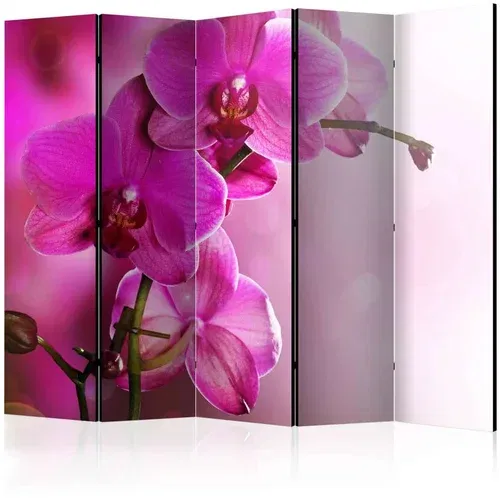  Paravan u 5 dijelova - Pink orchid II [Room Dividers] 225x172