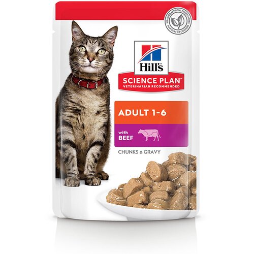 HILL'S SCIENCE Plan Adult - Varčno pakiranje: Govedina (24 x 85 g) Cijene