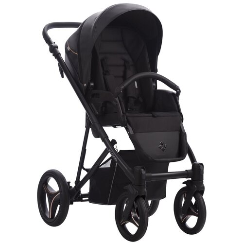 Bebetto flavio pro kolica za bebe set 2U1 06 Cene
