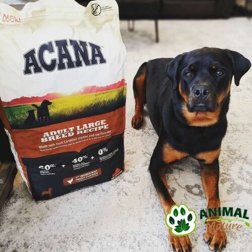 Acana Adult Large breed, potpuna hrana za odrasle pse velikih pasmina, 17 kg Slike