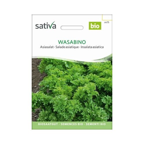 Sativa Azijska solata "Wasabino" Cene
