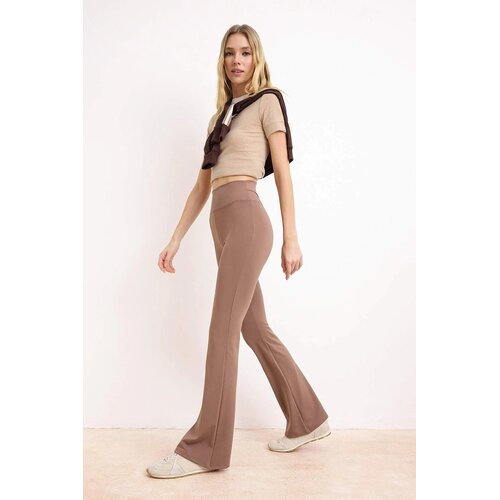 TRENDYOLMILLA ženske pantalone Twoss26Pl00118, taupe-bež Cene