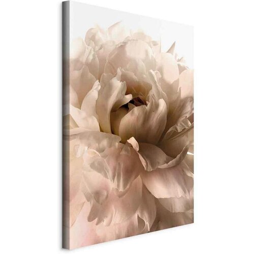 Artgeist Slika Na Platnu Soft Petals Cene
