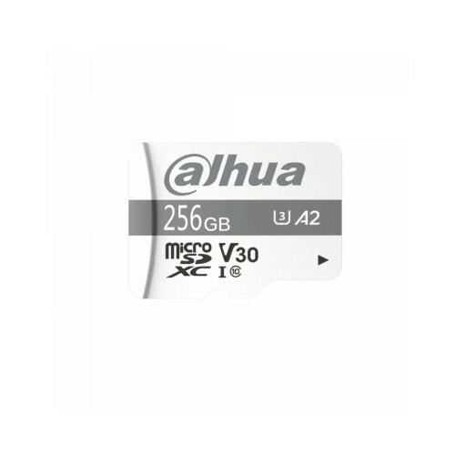 Dahua TF-P100/256GB Cene