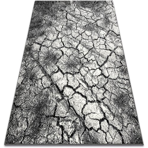 RugsX Preproge Preproga KARMEL Terra razpokana tla siva 240x340 cm Siva Slike