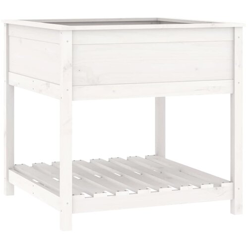  Sadilica s policom bijela 82,5x82,5x81 cm od masivne borovine Slike
