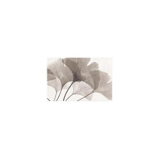  Tepih Vegas Home 2,00X2,90 L 21EBW 1K Cene