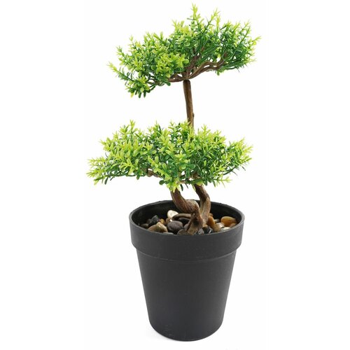 Lilium dekorativni bonsai 33cm 567315 Slike