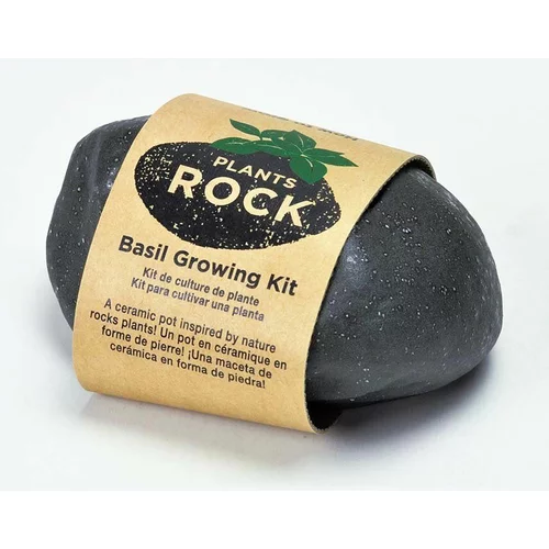 Noted Komplet za gojenje rastlin Plants Rock - Basil