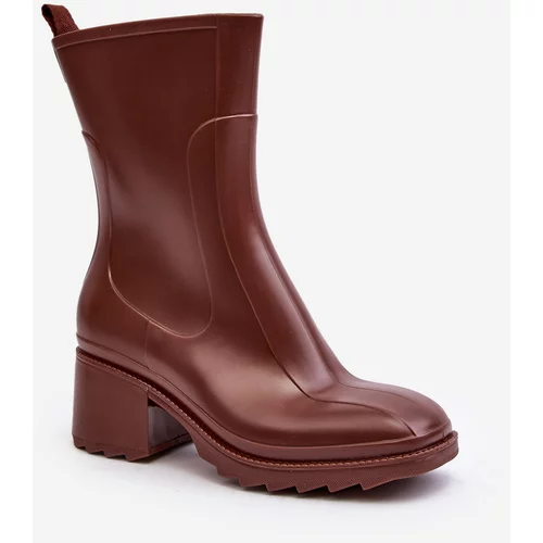 Kesi Women's matte high-heeled boots, brown Bertaida