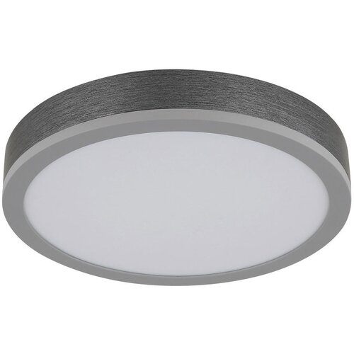 Globo LED stropna svjetiljka Doro (Ø x V: 300 cm x 60 mm, 12 W, Srebrna, Bijela, Topla bijela, Okrugla) Cijene