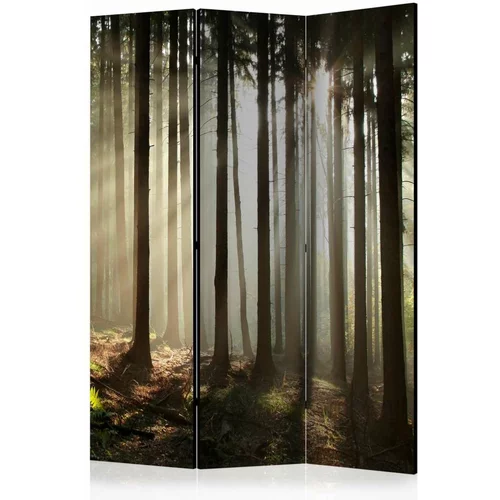  Paravan u 3 dijela - Coniferous forest [Room Dividers] 135x172