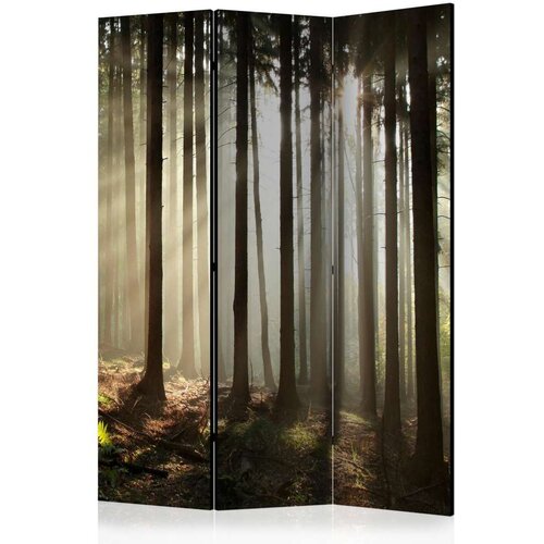 Paravan u 3 dijela - Coniferous forest [Room Dividers] 135x172 Slike