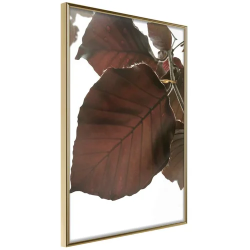  Poster - Burgundy Tilia Leaf 40x60