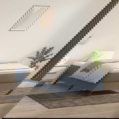 VidaXL Box spring krevet bez madracem tamnosivi 80 x 220 cm bar&amp;scaron;unasti Slike
