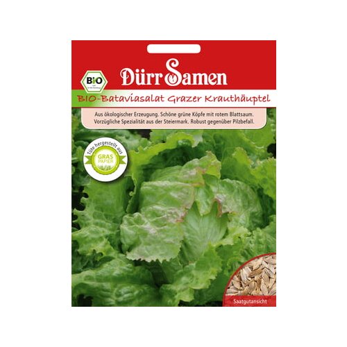 Dürr Samen BIO-solata Batavia Grazer Krauthäuptel Cene