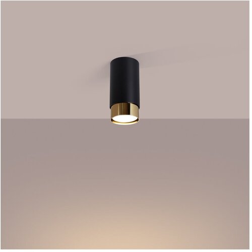 Nice Lamps crna/u zlatnoj boji stropna svjetiljka crown &amp;ndash; Slike