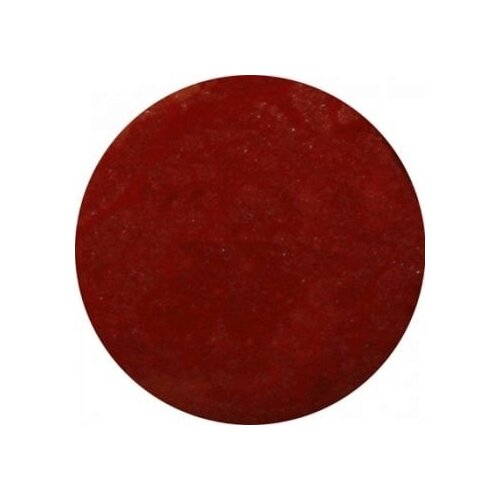 Provida Organics living nails color bio-lak za nohte - 06 dark rouge Cene