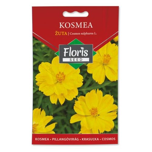 Floris seme cveće-kosmea žuta 05g FL Slike