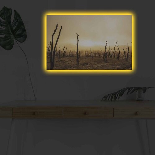 Wallity Slika sa LED osvetljenjem 4570DHDACT-073, 45x70 cm Cene