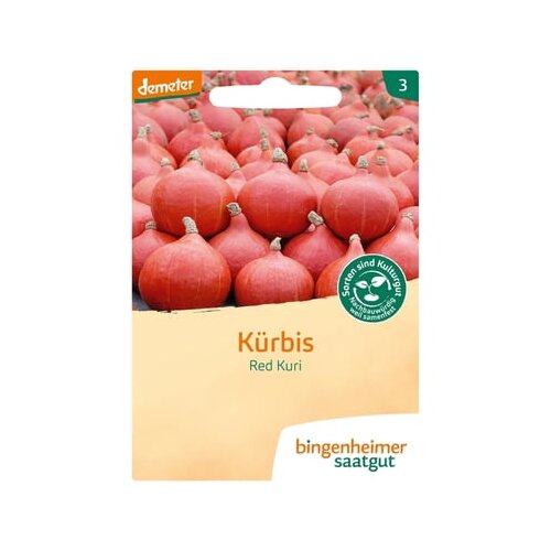 Bingenheimer Saatgut buča Hokkaido "Red Kuri" Cene