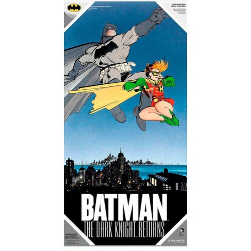 DC Comics Stakleni poster Batman i Robin, 30 x 60 cm Slike