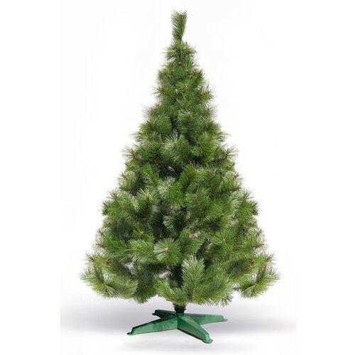  Novogodišnja jelka zeleni bor 350 cm (22268) Cene
