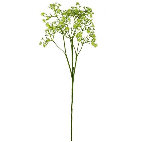  UMJETNA GIPSOFILA 70CM ZELENA BIZZOTTO Slike