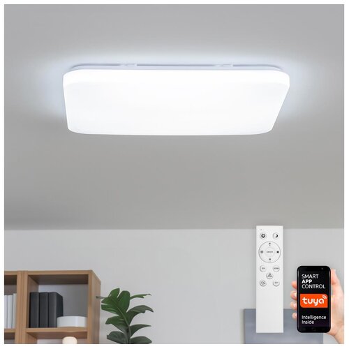  Brilagi - LED prigu&scaron;iva stropna svetiljka SMART LED/36W/230V 53x53 cm Wi-Fi Tuya + daljinski upravljač Cene