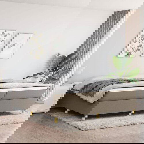 The Living Store Posteljni okvir taupe 200x200 cm blago - Box Spring Posteljni Okvir, (21516479) Cene