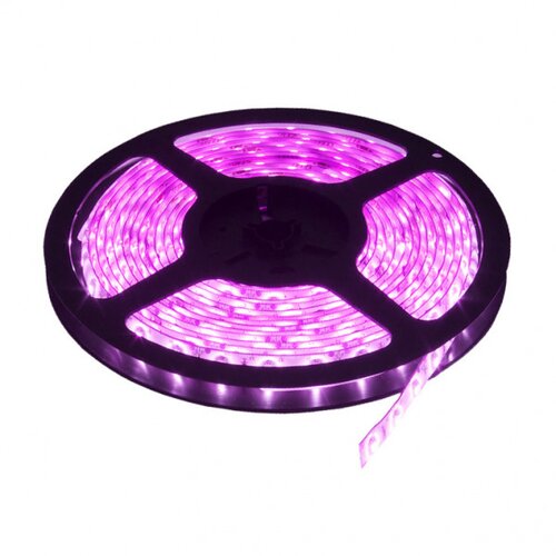 Hennessy LED traka roza 60 LED / 1m Cene