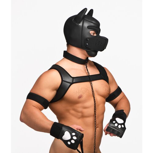 Master Series Deluxe Pup Arsenal Set Black Cijene